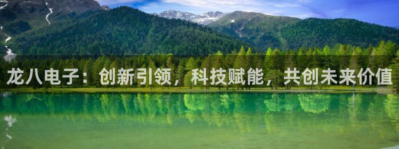 k8凯发3注册：龙八电子：创新引领，科技赋能，共创未来价值