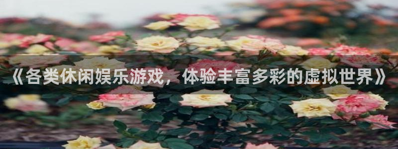 k8凯发2注册：《各类休闲娱乐游戏，体验丰富多彩的虚拟世界》