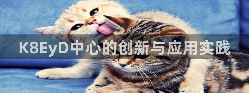 k8凯发2登录：K8EyD中心的创新与应用实践