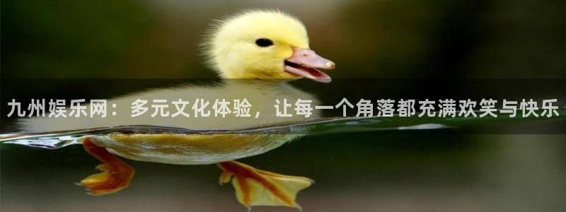 k8凯发代理：九州娱乐网：多元文化体验，让每一个角落都充满欢笑与快乐