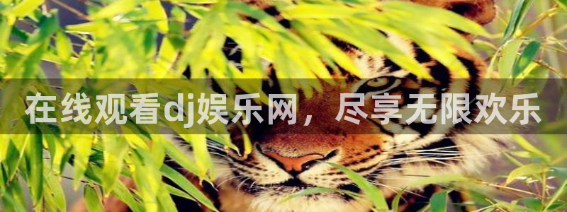 k8凯发vk：在线观看dj娱乐网，尽享无限欢乐