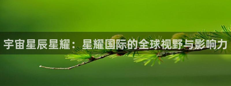 上海k8凯发汽车电子有限公司：宇宙星辰星耀：星耀国际的全球视野与影响力