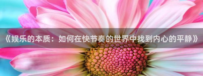 k8凯发2平台登录：《娱乐的本质：如何在快节奏的世界中找到内心的平静》
