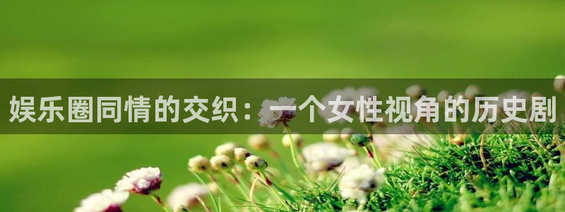 k8凯发f平台注册：娱乐圈同情的交织：一个女性视角的历史剧