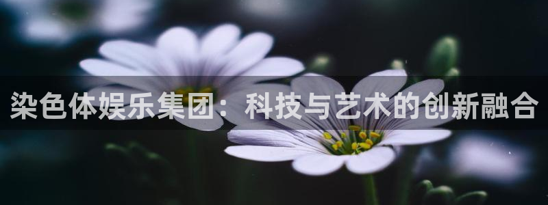 k8凯发平台官网：染色体娱乐集团：科技与艺术的创新融合