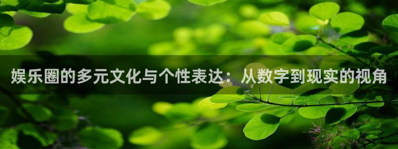 k8凯发3注册：娱乐圈的多元文化与个性表达：从数字到现实的视角
