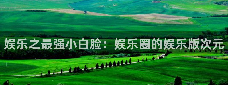 k8凯发体育平台开号链接：娱乐之最强小白脸：娱乐圈的娱乐版次元