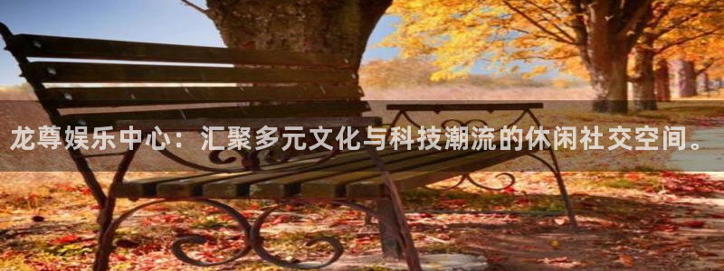 k8凯发f凯捷注册：龙尊娱乐中心：汇聚多元文化与科技潮流的休闲社交空间。