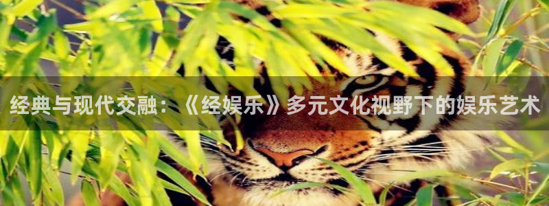 k8凯发2登录地址：经典与现代交融：《经娱乐》多元文化视野下的娱乐艺术