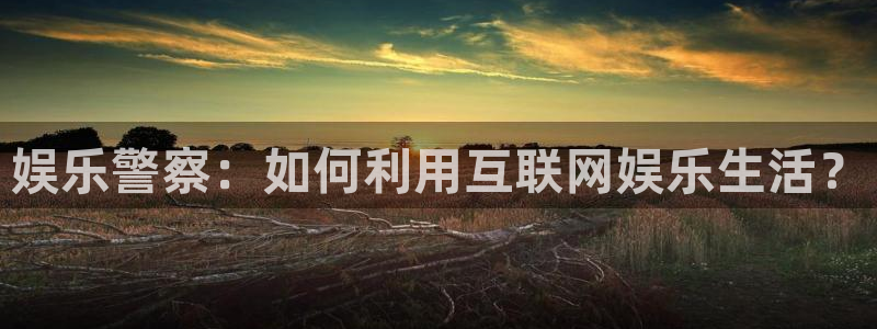 k8凯发体育凯捷登陆：娱乐警察：如何利用互联网娱乐生活？