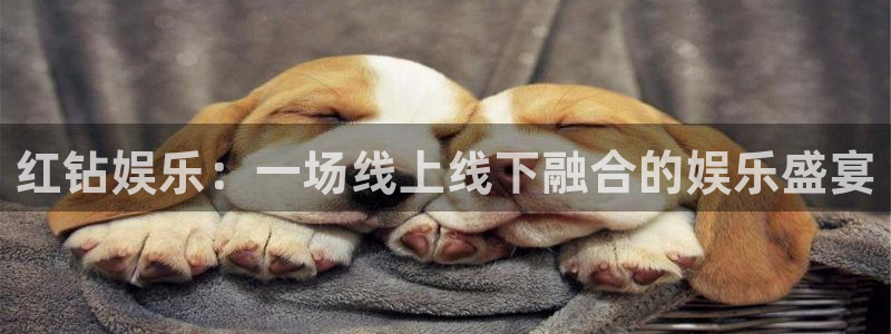 k8凯发2平台注册：红钻娱乐：一场线上线下融合的娱乐盛宴