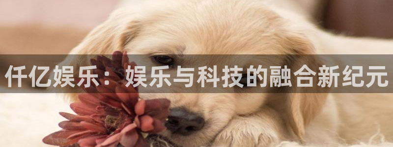 k8凯发平台在线开户：仟亿娱乐：娱乐与科技的融合新纪元