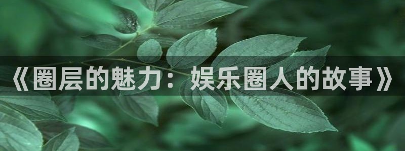 k8凯发2登录：《圈层的魅力：娱乐圈人的故事》